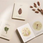 Our Little Adventures Box Set - Joy