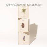 Our Little Adventures Box Set - Joy