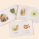 Our Little Adventures Box Set - Joy