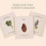 Our Little Adventures Box Set - Joy