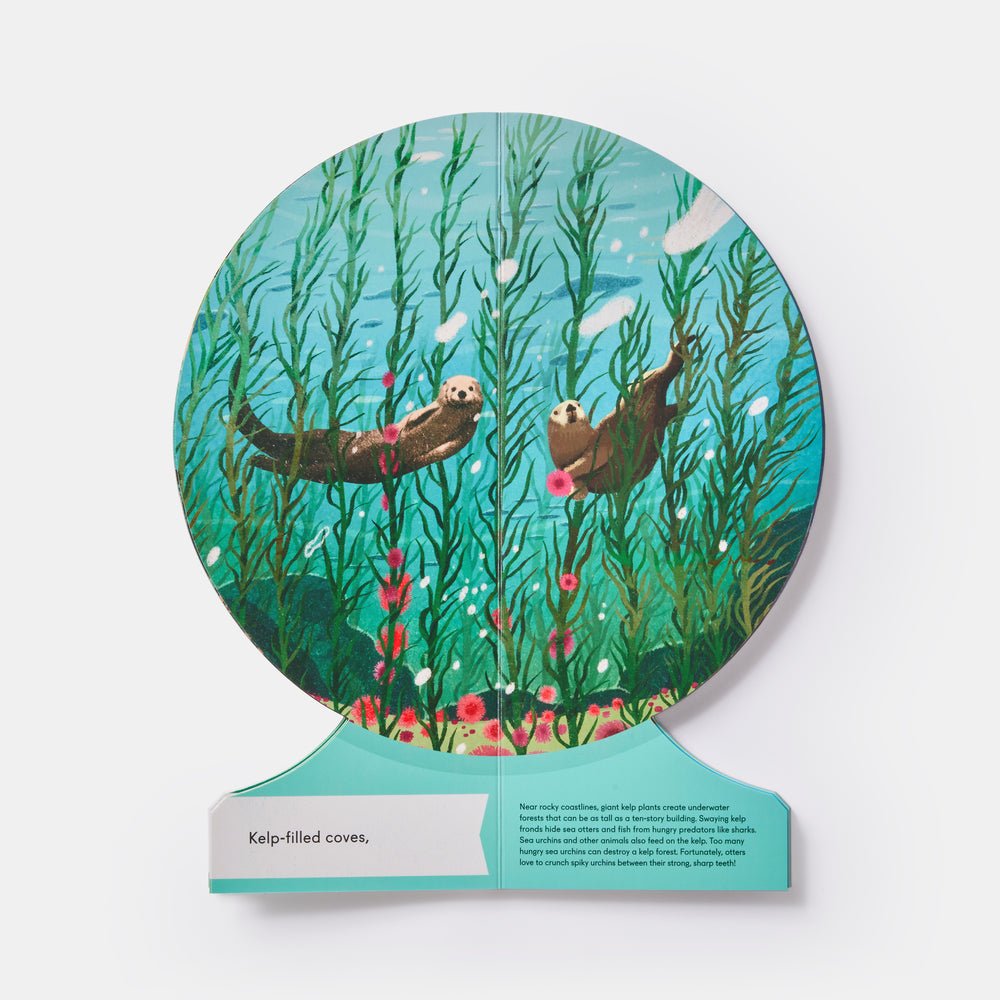 Our Underwater World: A First Dive into Oceans, Lakes, and Rivers - Joy Gift Shoppe