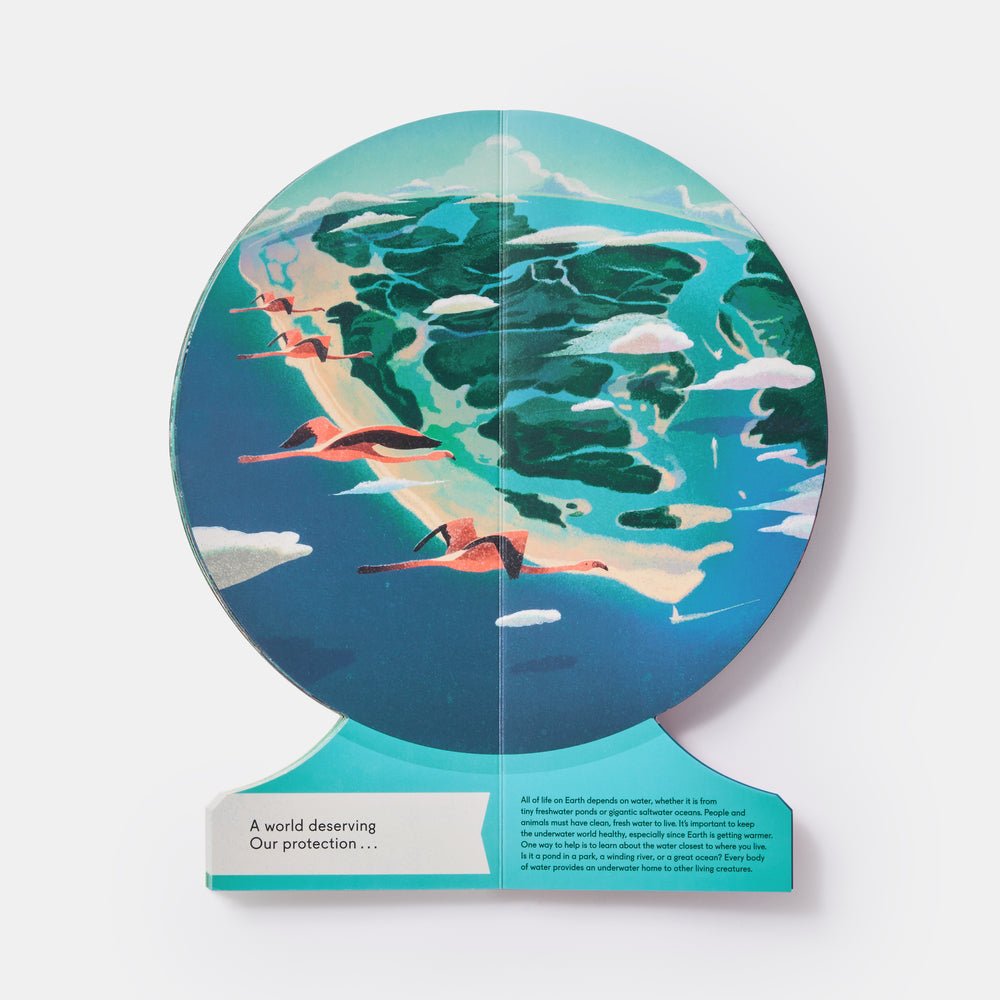 Our Underwater World: A First Dive into Oceans, Lakes, and Rivers - Joy Gift Shoppe