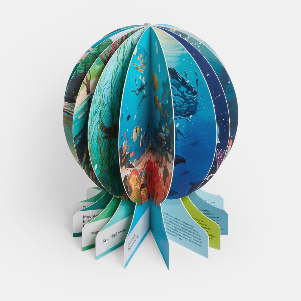 Our Underwater World: A First Dive into Oceans, Lakes, and Rivers - Joy Gift Shoppe