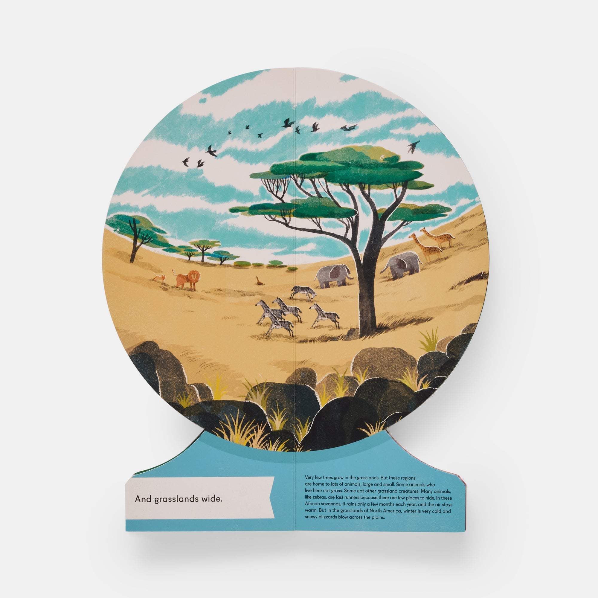 Our World: A First Book of Geography - Joy Gift Shoppe