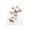 Pop Up Beautiful Butterflies - Joy