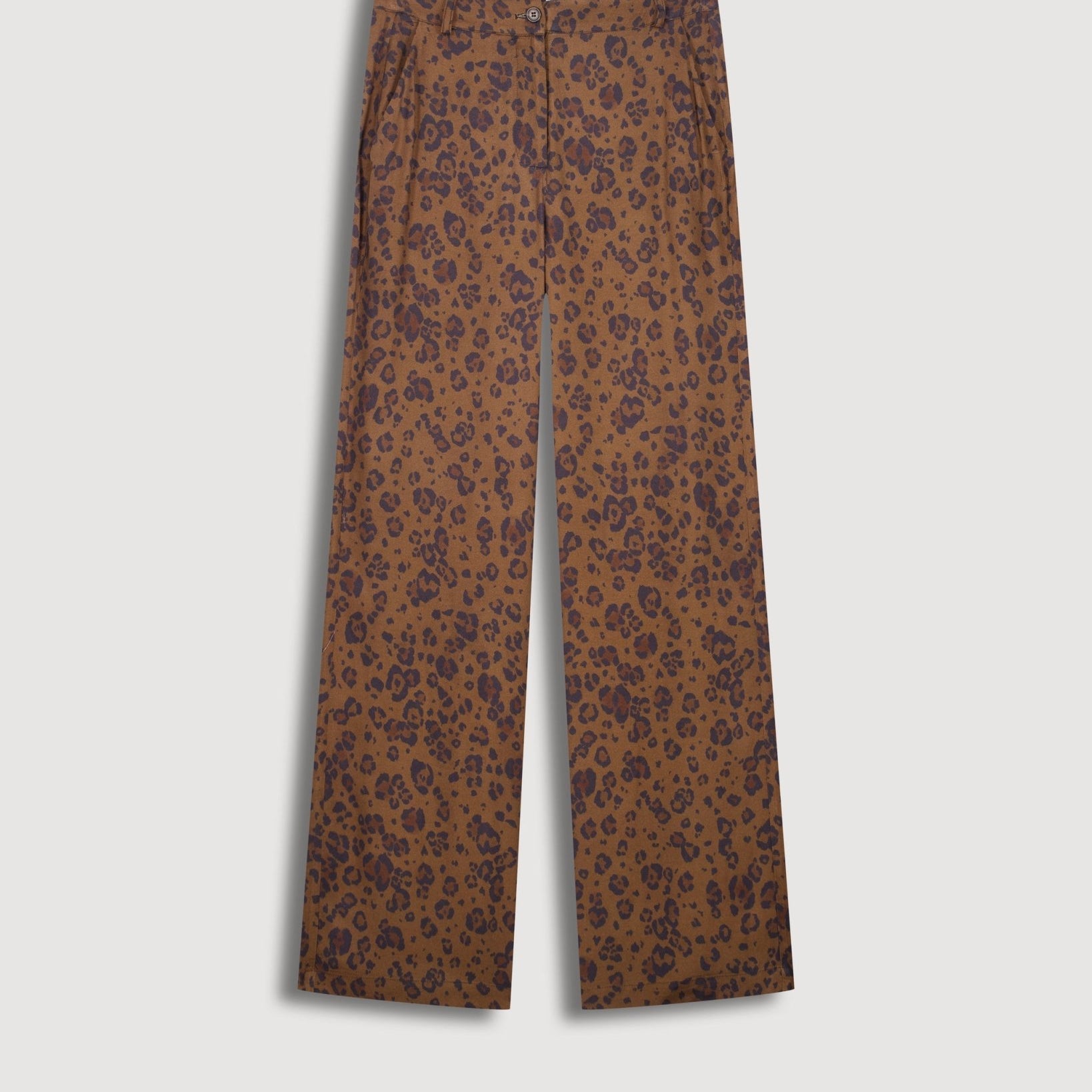 POSITANO Brown Pants - Joy