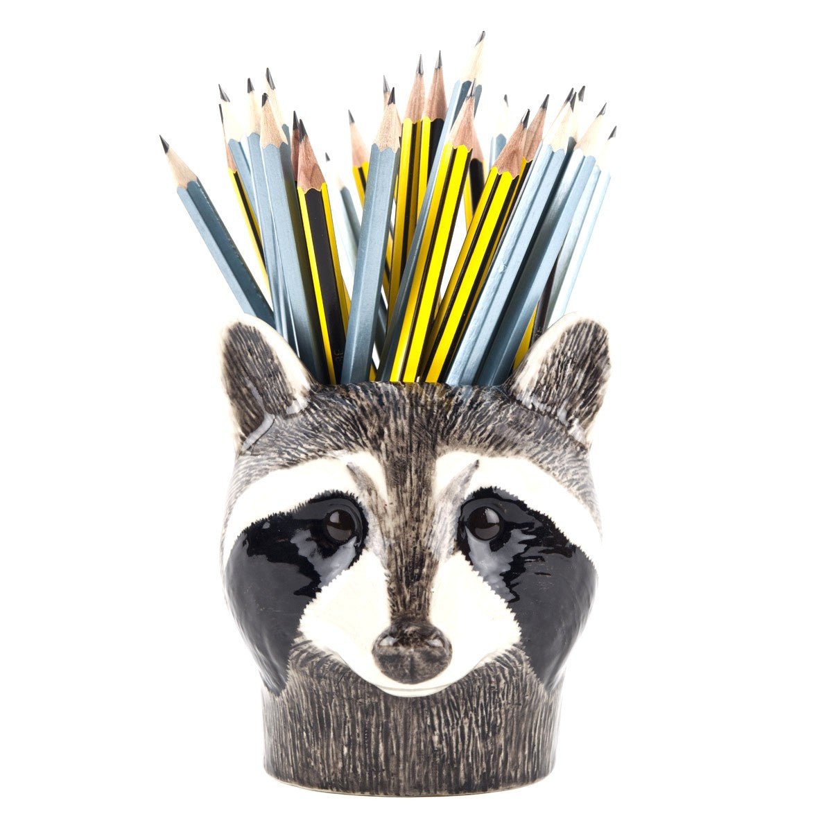Raccoon Pencil Pot - Joy Gift Shoppe