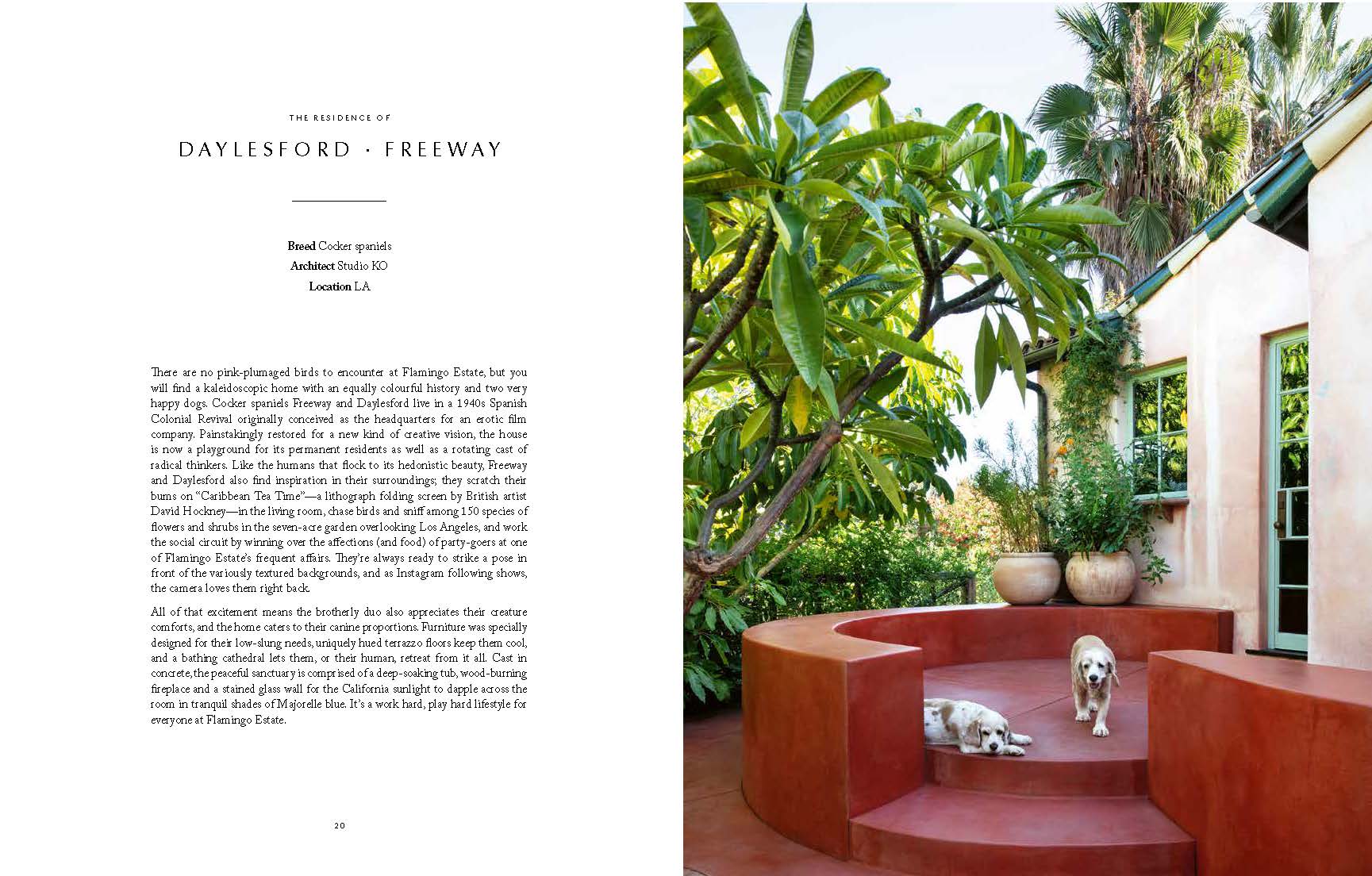 Resident Dog (Volume Two) - Joy Gift Shoppe