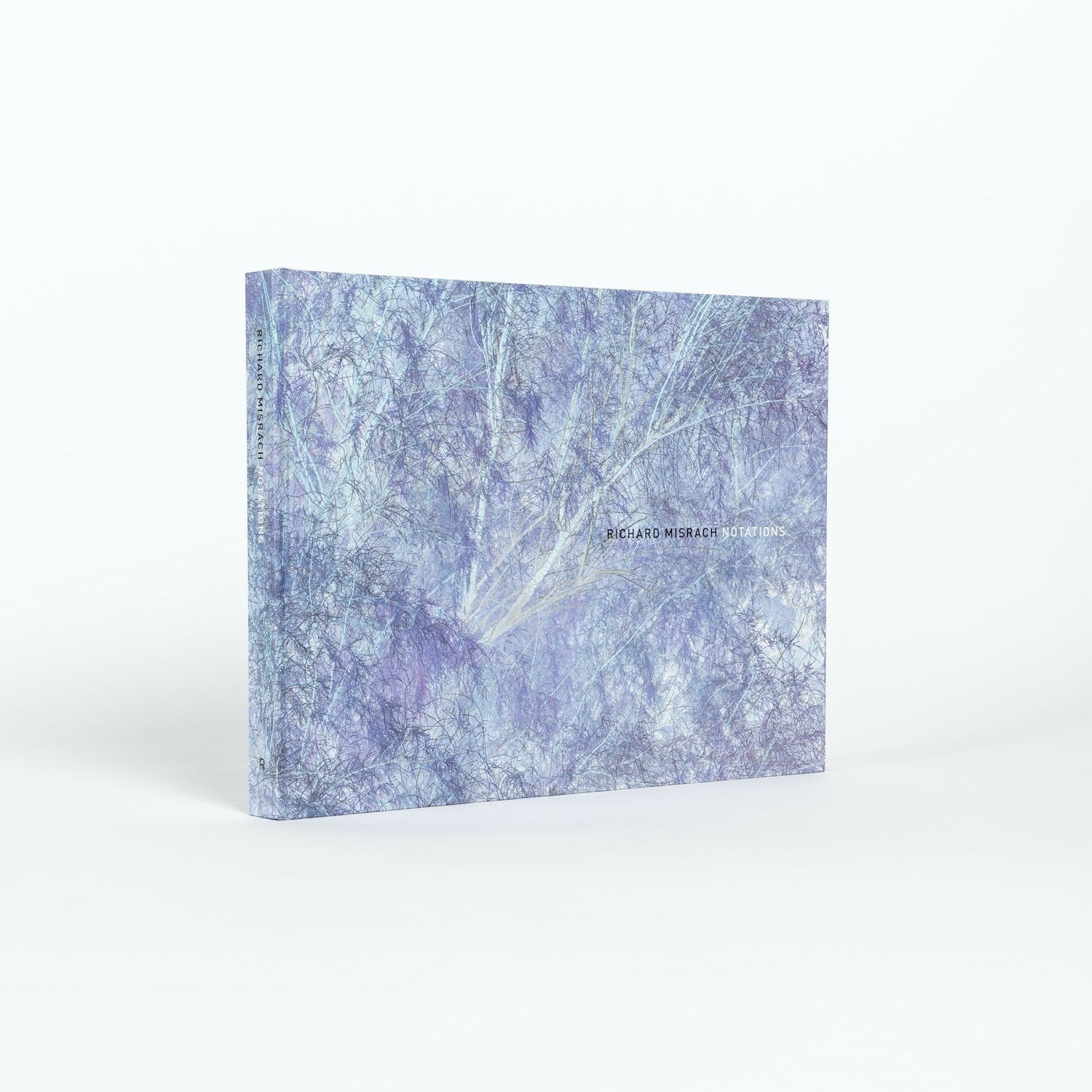 Richard Misrach: Notations - Joy