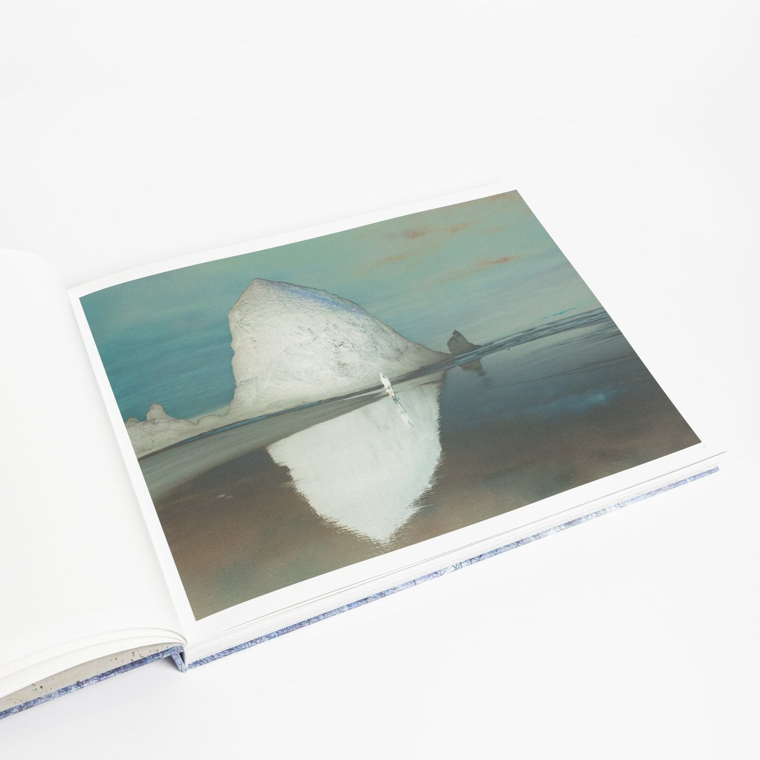 Richard Misrach: Notations - Joy