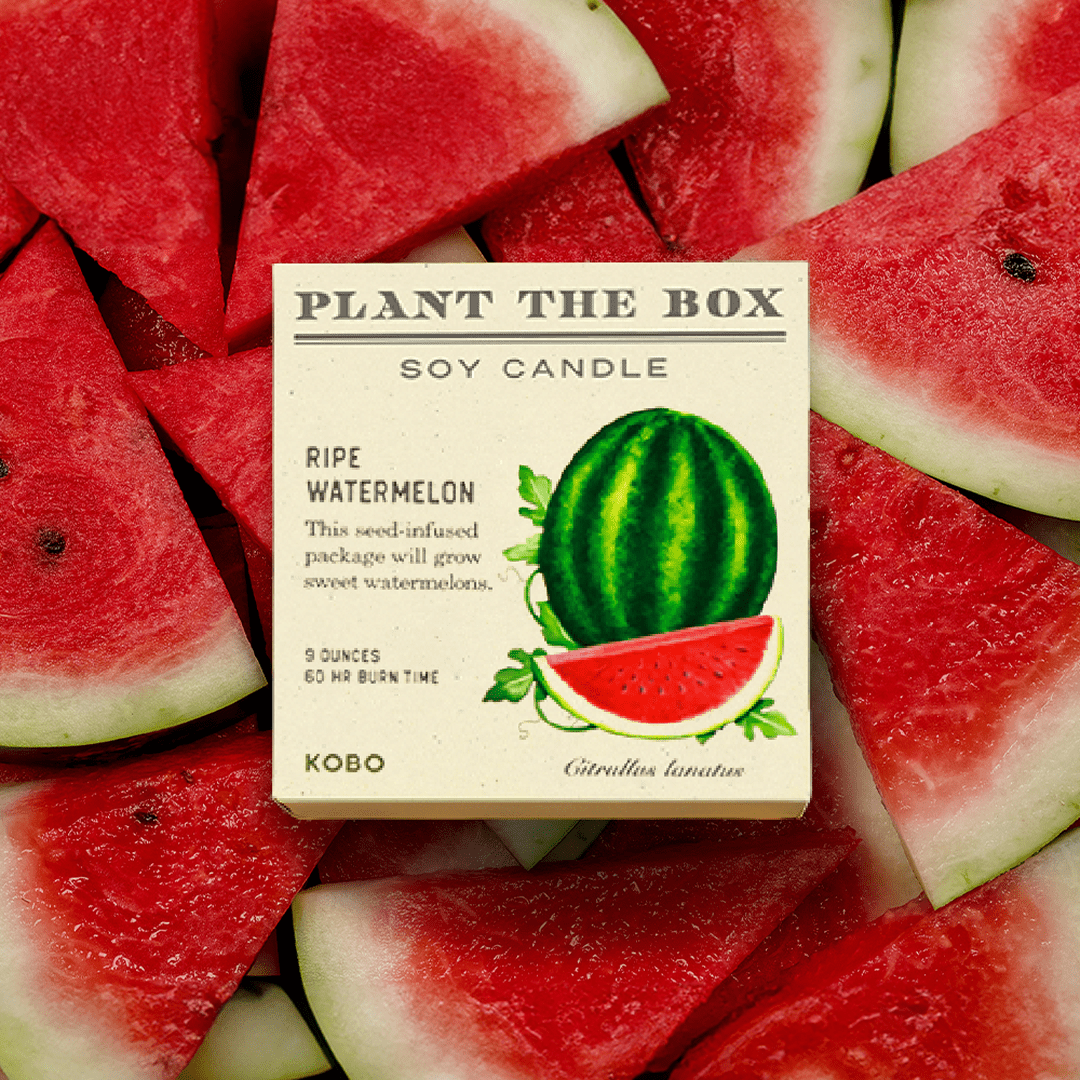 Ripe Watermelon - Plant the Box Candle - Joy Gift Shoppe