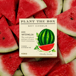 Ripe Watermelon - Plant the Box Candle - Joy Gift Shoppe