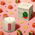Ripe Watermelon - Plant the Box Candle - Joy Gift Shoppe