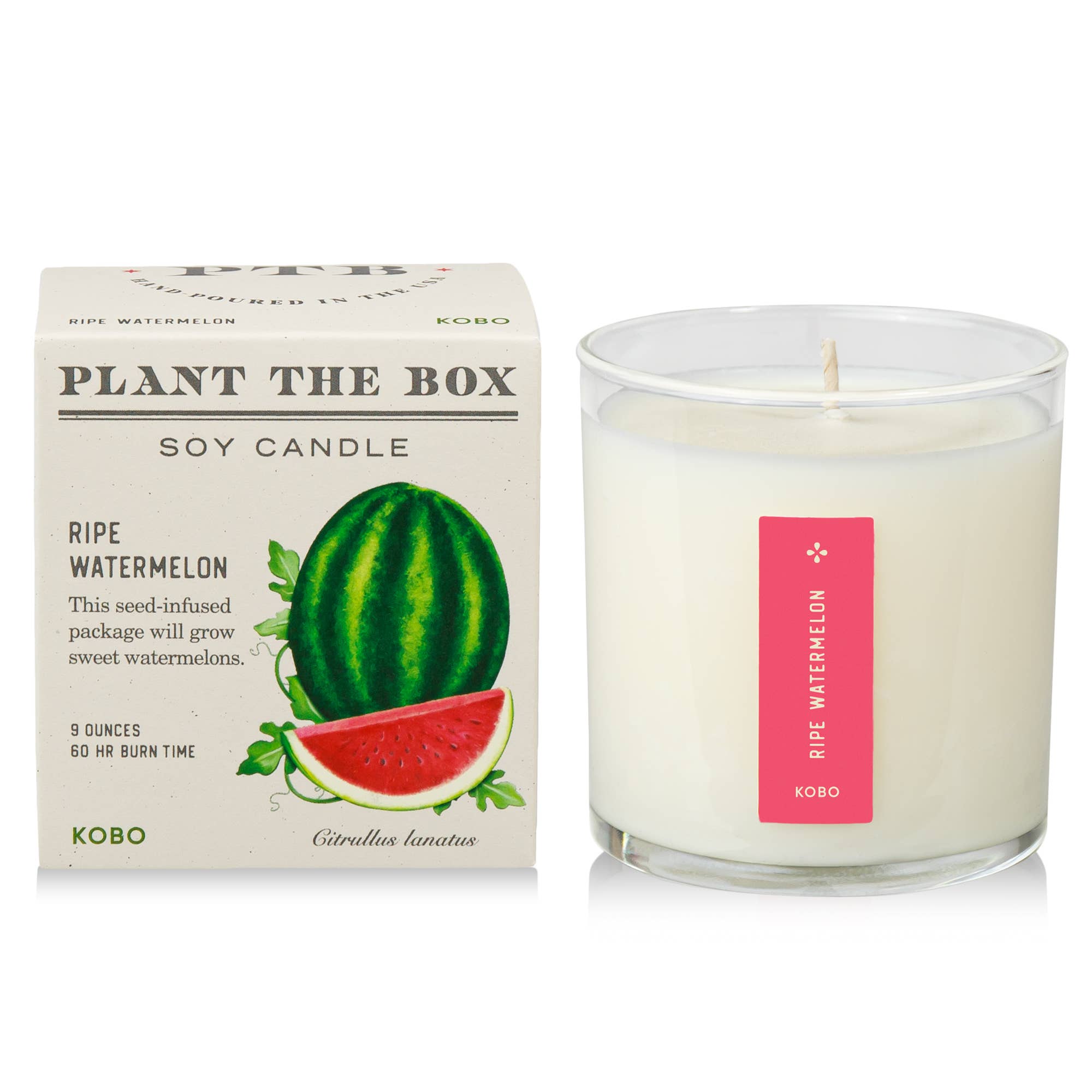 Ripe Watermelon - Plant the Box Candle - Joy Gift Shoppe