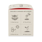 Ripe Watermelon - Plant the Box Candle - Joy Gift Shoppe