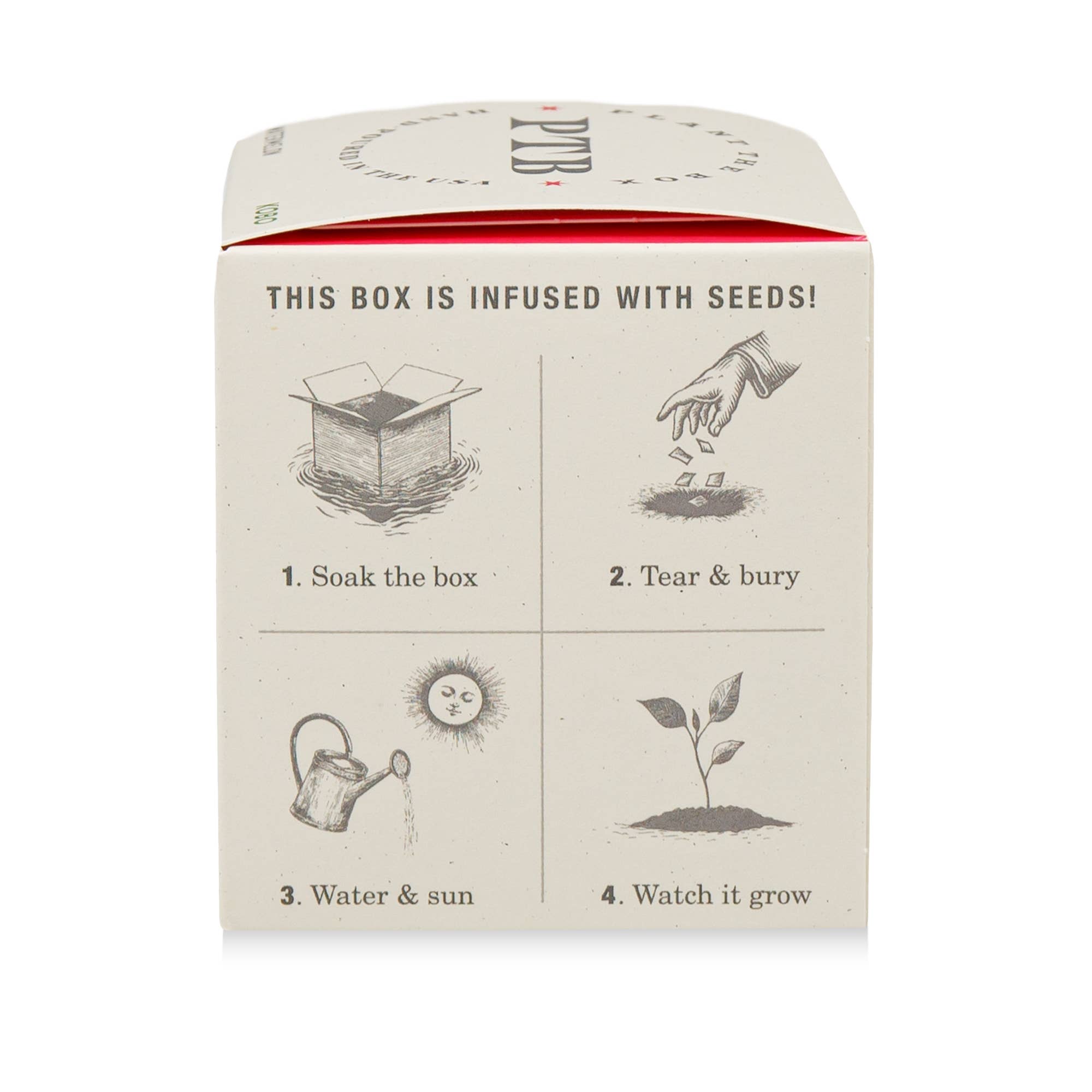 Ripe Watermelon - Plant the Box Candle - Joy Gift Shoppe