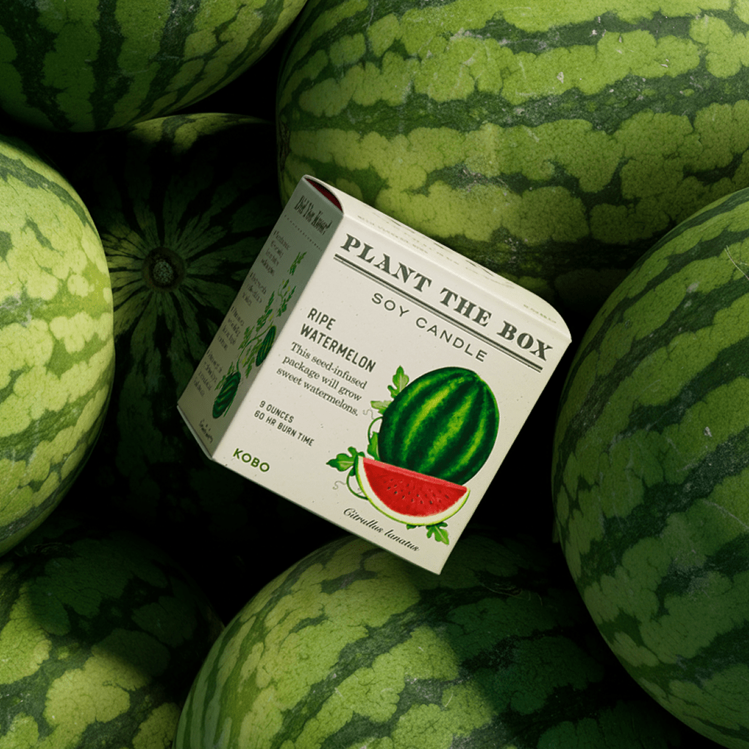 Ripe Watermelon - Plant the Box Candle - Joy Gift Shoppe