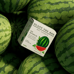Ripe Watermelon - Plant the Box Candle - Joy Gift Shoppe