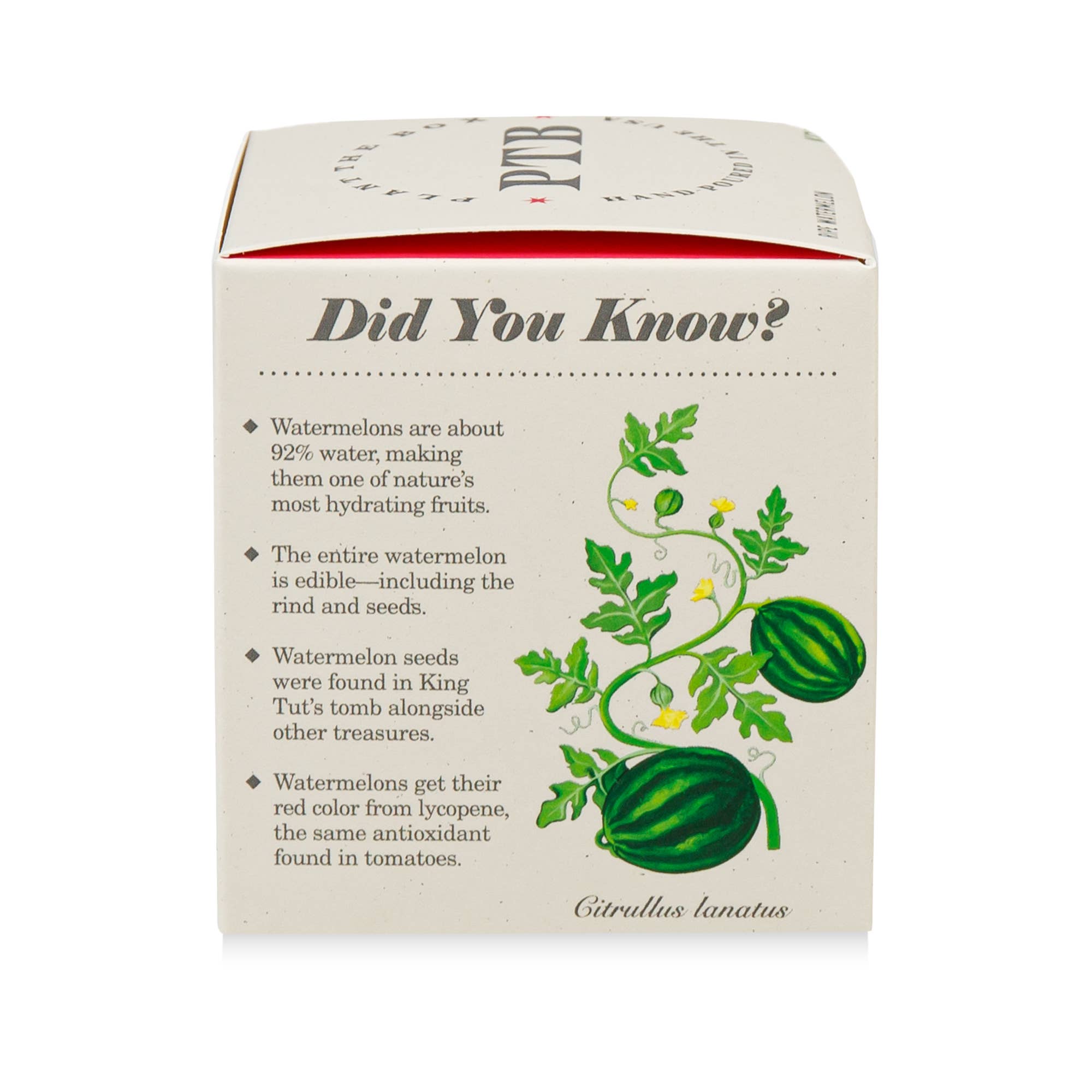 Ripe Watermelon - Plant the Box Candle - Joy Gift Shoppe