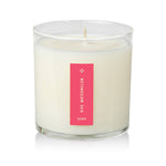 Ripe Watermelon - Plant the Box Candle - Joy Gift Shoppe