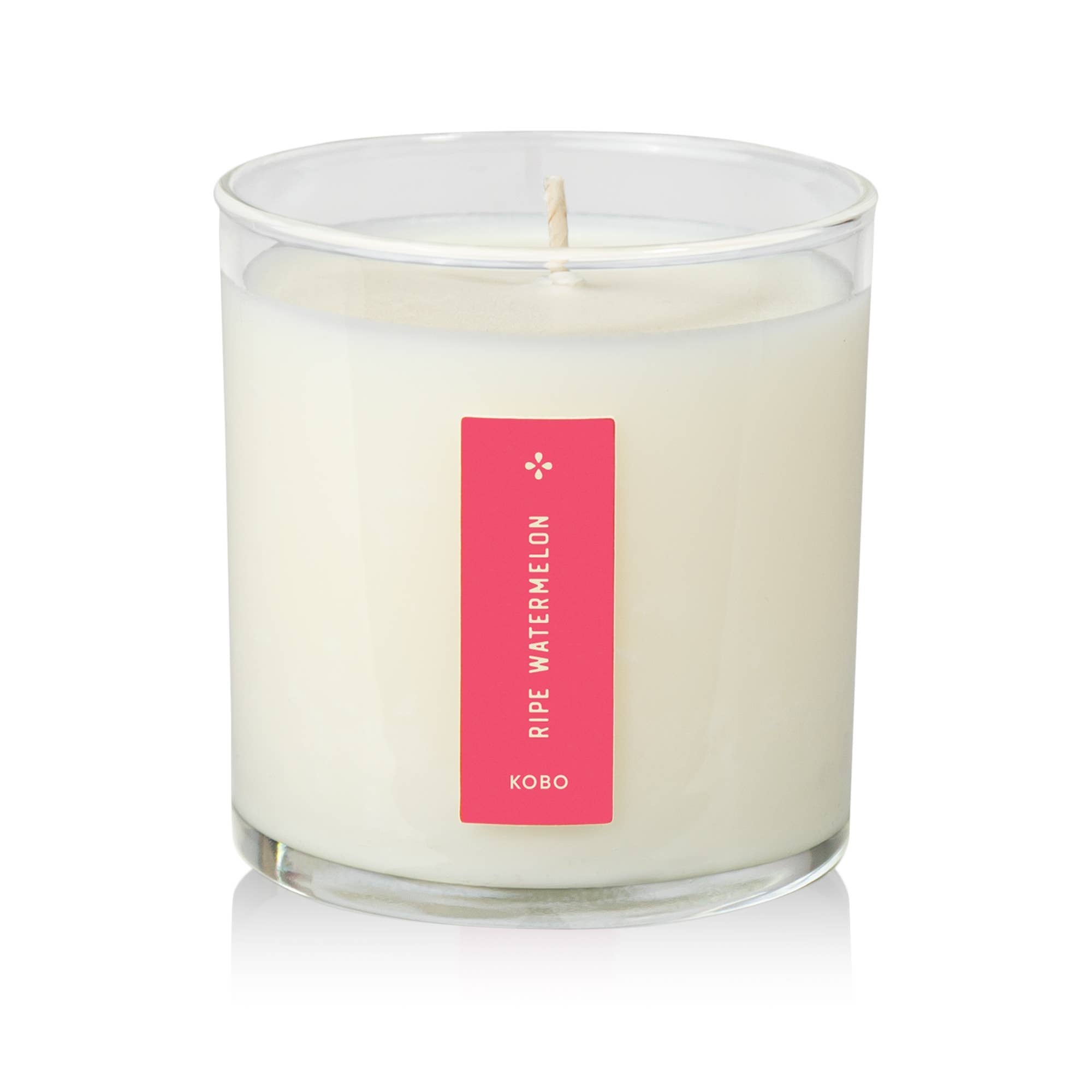Ripe Watermelon - Plant the Box Candle - Joy Gift Shoppe