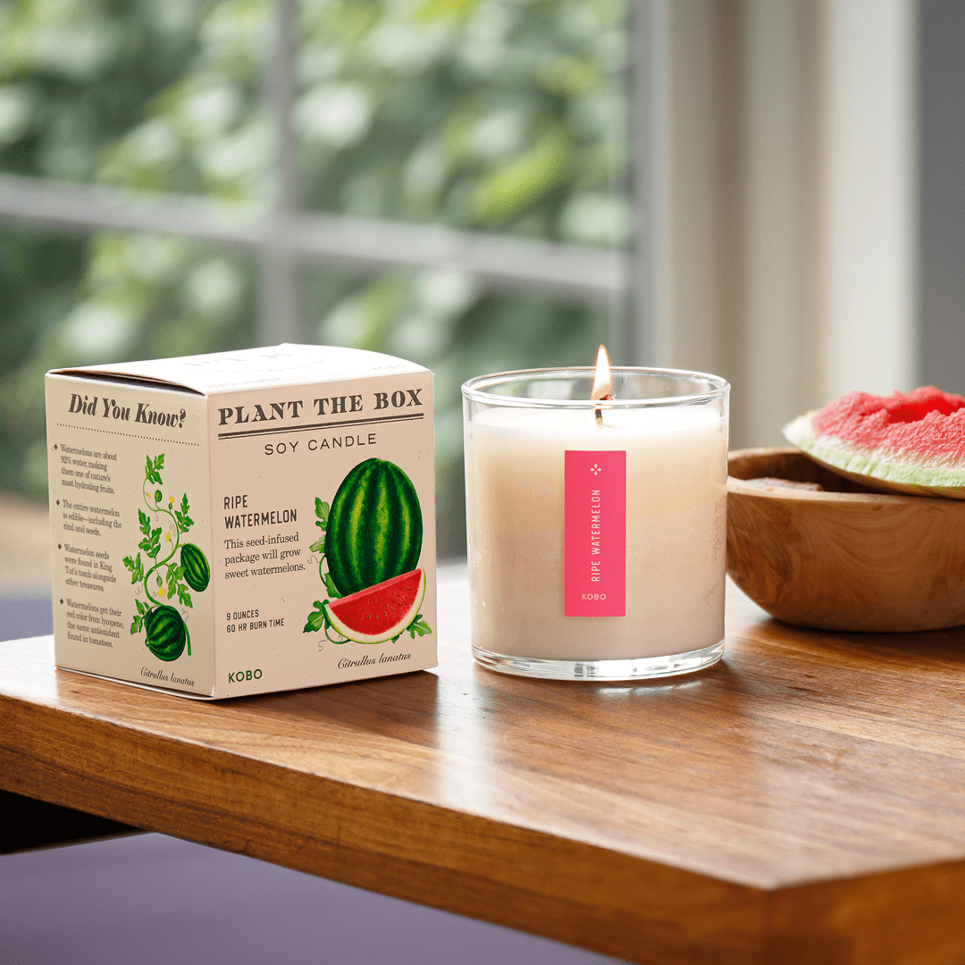 Ripe Watermelon - Plant the Box Candle - Joy Gift Shoppe