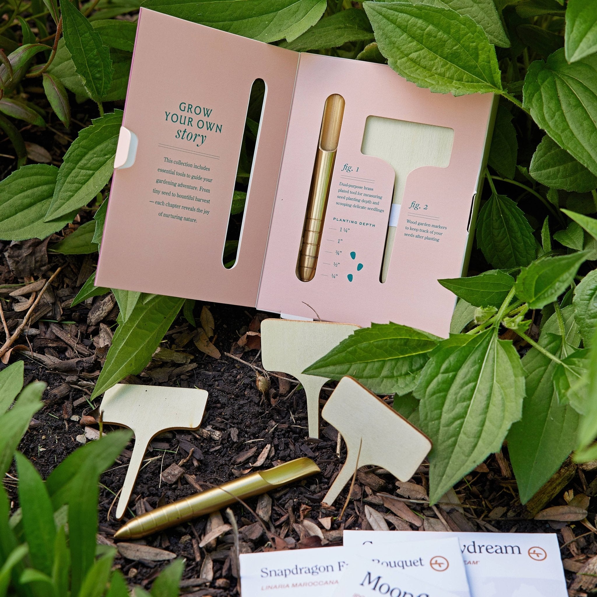 Seed Library: Culinary Herbs - Joy