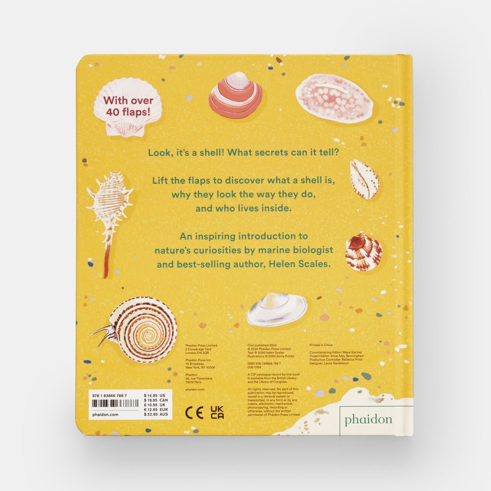 Shells... and what they hide inside: A Lift - the - Flap Adventure - Joy