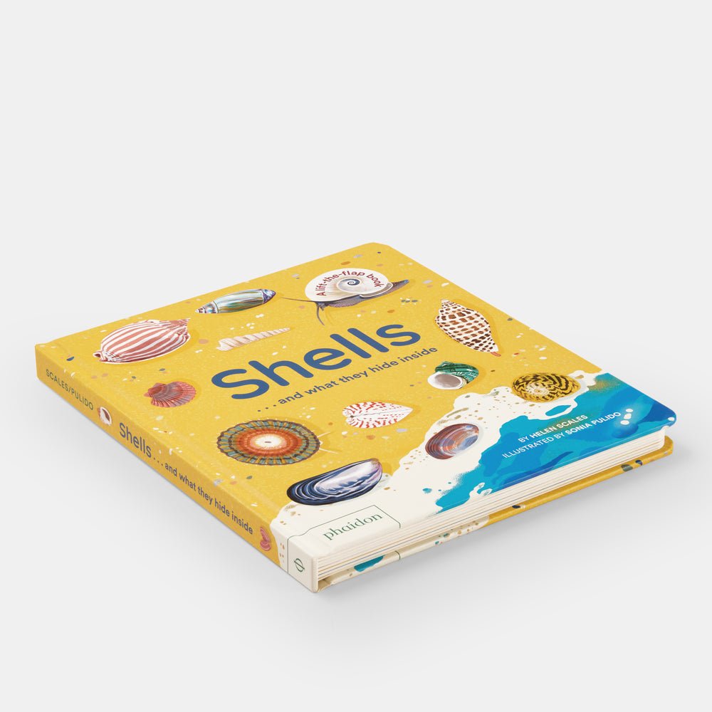 Shells... and what they hide inside: A Lift - the - Flap Adventure - Joy