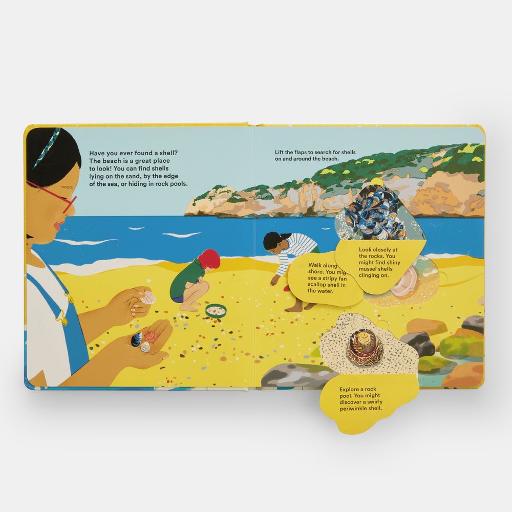 Shells... and what they hide inside: A Lift - the - Flap Adventure - Joy