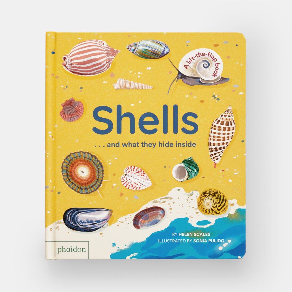 Shells... and what they hide inside: A Lift - the - Flap Adventure - Joy