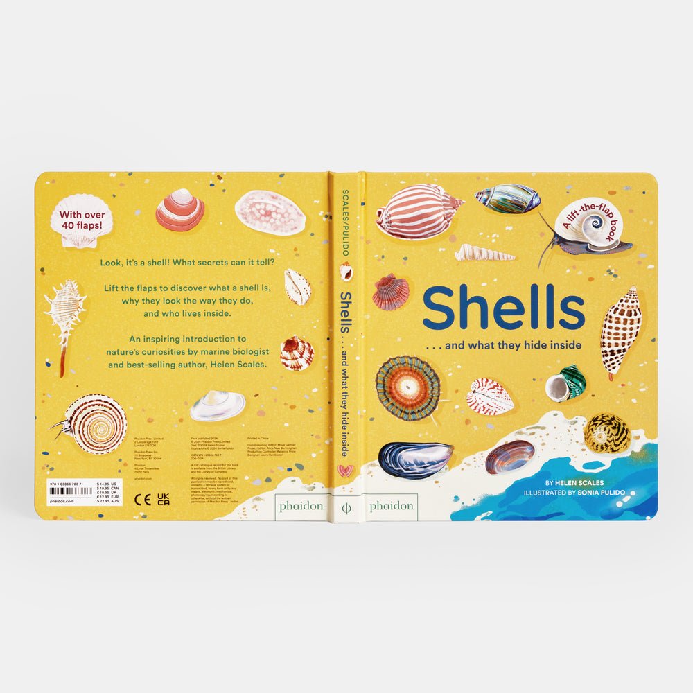 Shells... and what they hide inside: A Lift - the - Flap Adventure - Joy