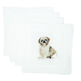 Shih Tzu - Joy