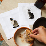 Siamese Cat - Joy