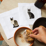 Siamese Cat - Joy