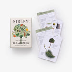 Sibley Tree Identification Flashcards - Joy Gift Shoppe