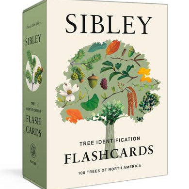 Sibley Tree Identification Flashcards - Joy Gift Shoppe