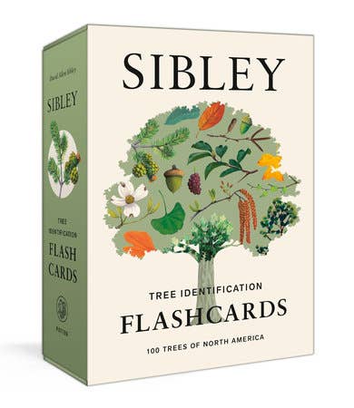 Sibley Tree Identification Flashcards - Joy Gift Shoppe