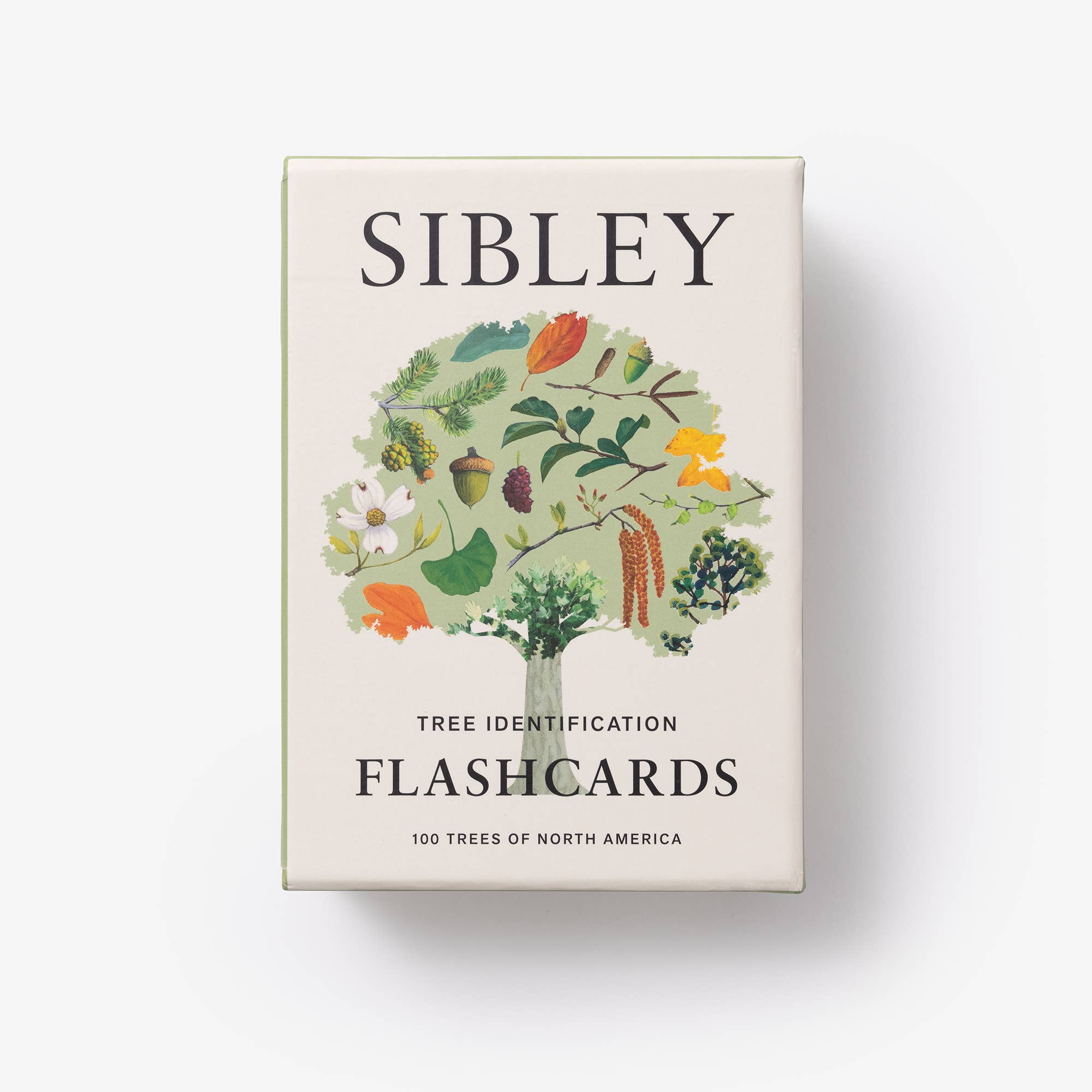 Sibley Tree Identification Flashcards - Joy Gift Shoppe