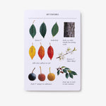 Sibley Tree Identification Flashcards - Joy Gift Shoppe