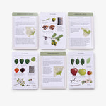 Sibley Tree Identification Flashcards - Joy Gift Shoppe