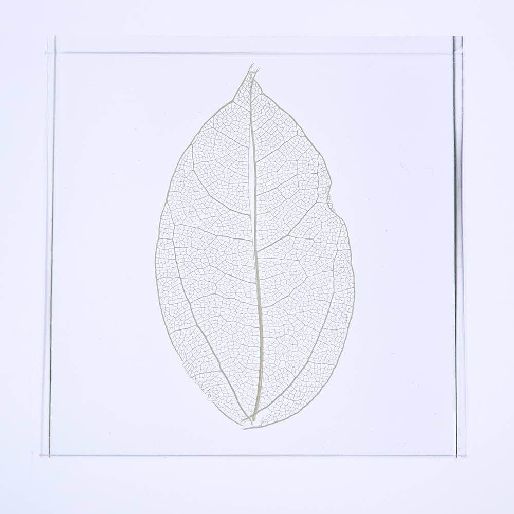 Skeleton Leaf Tile - Joy Gift Shoppe