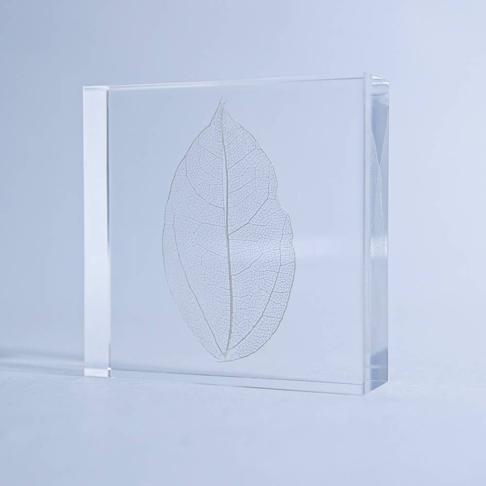 Skeleton Leaf Tile - Joy Gift Shoppe