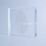 Skeleton Leaf Tile - Joy Gift Shoppe