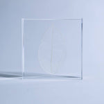 Skeleton Leaf Tile - Joy Gift Shoppe
