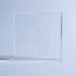 Skeleton Leaf Tile - Joy Gift Shoppe