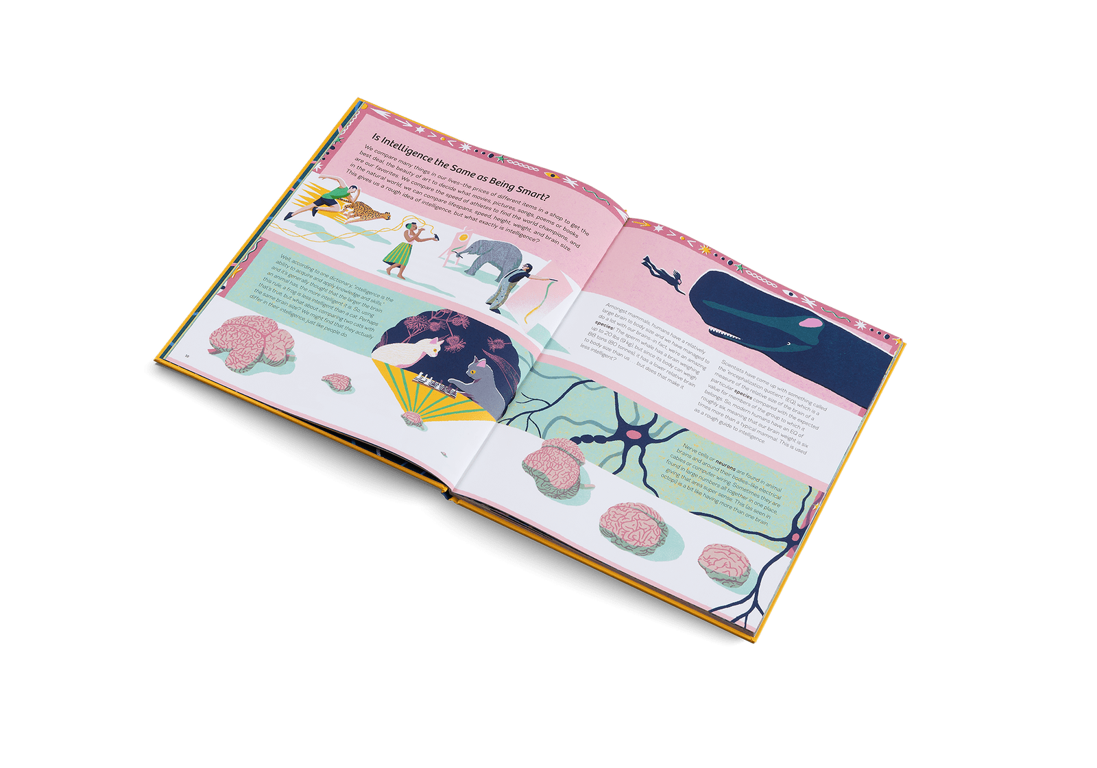 Smart Animals - Joy Gift Shoppe