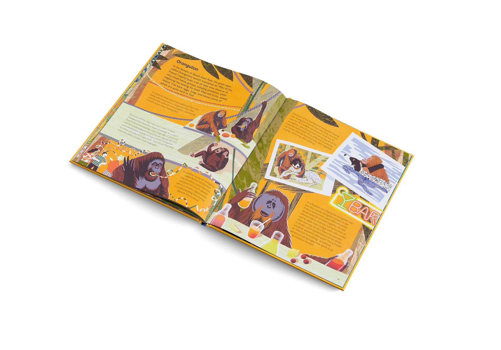 Smart Animals - Joy Gift Shoppe
