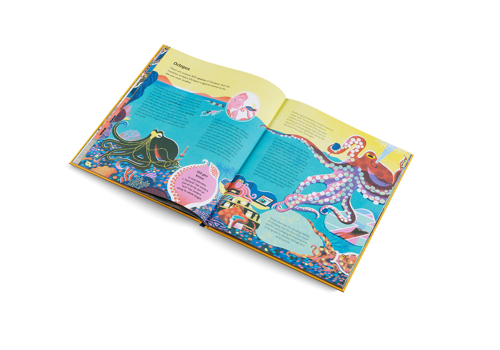 Smart Animals - Joy Gift Shoppe
