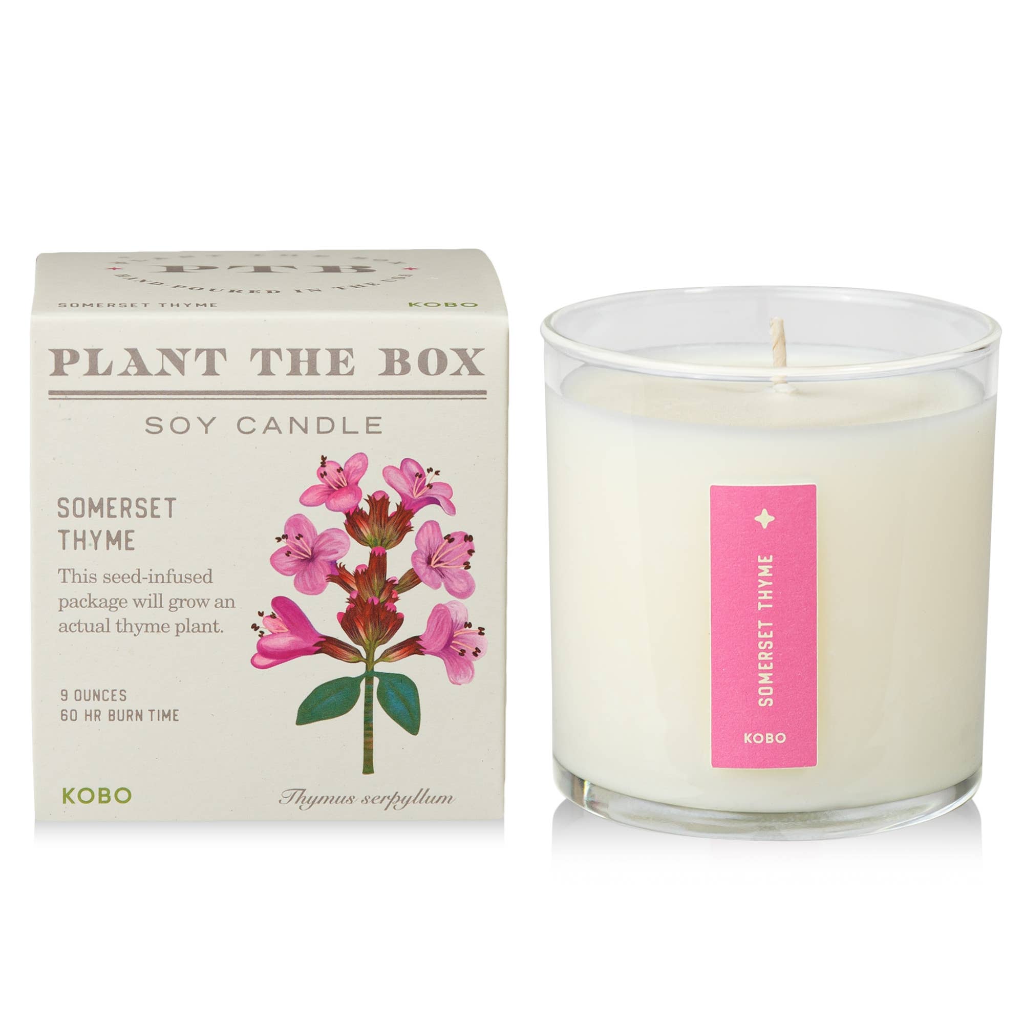Somerset Thyme - Plant the Box Candle - 9oz. - Joy